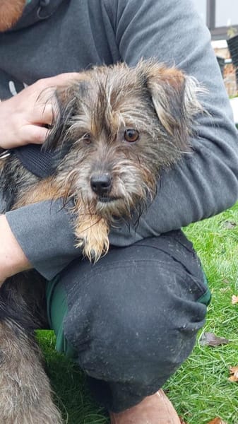 Finchen, ein bezauberndes Seelchen