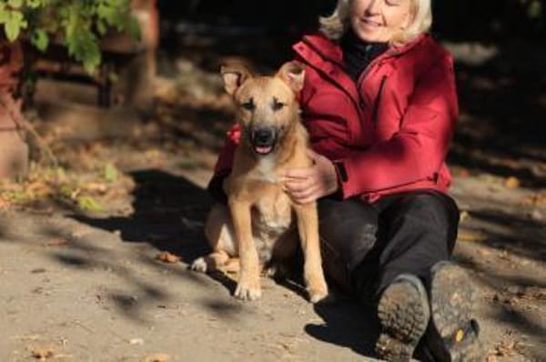 Der lebensfrohe Calimero sucht Dich :)