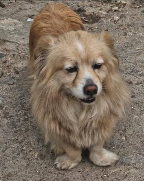 Legolas, kleiner Herzensbrecher