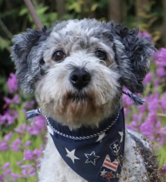 Paul mit 66 Jahren da fängt das Leben an