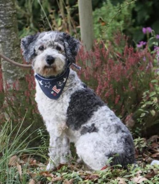 Paul mit 66 Jahren da fängt das Leben an