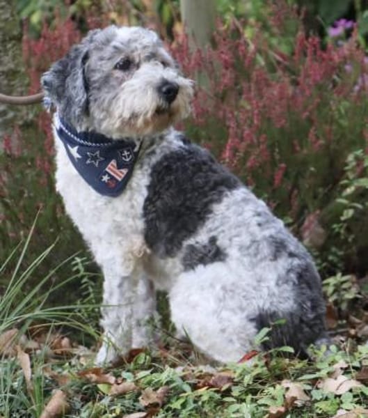 Paul mit 66 Jahren da fängt das Leben an