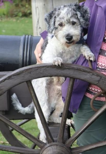 Paul mit 66 Jahren da fängt das Leben an