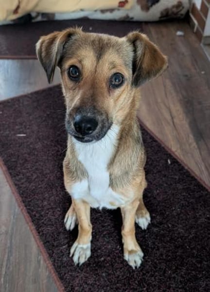 Alita, auf PS in 06242 Braunsbedra