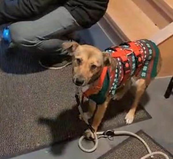 Alita, auf PS in 06242 Braunsbedra