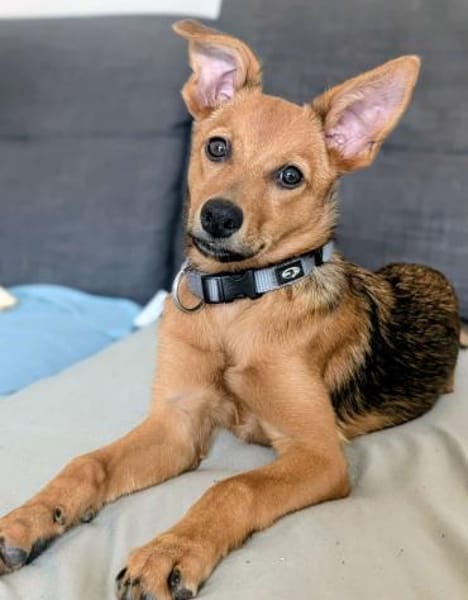 IGUALA 🥰 einfach bezaubernd!