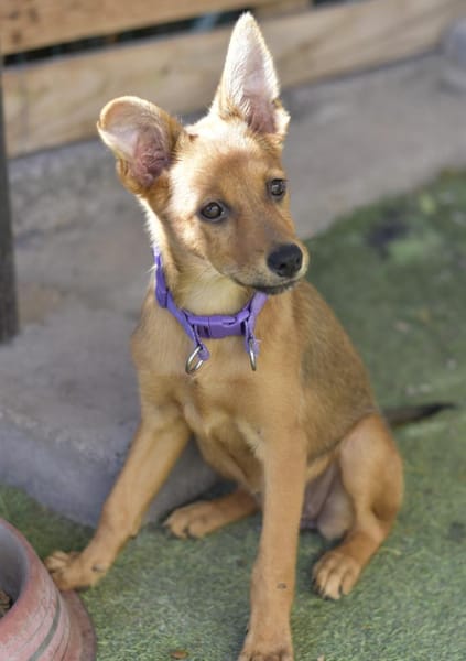 IGUALA 🥰 einfach bezaubernd!