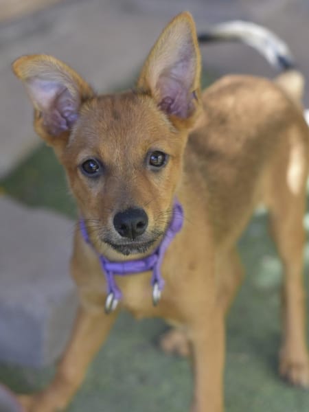 IGUALA 🥰 einfach bezaubernd!