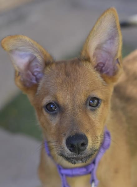 IGUALA 🥰 einfach bezaubernd!