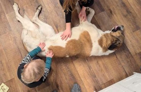 Chari: unsere Habiba (D - 17309)