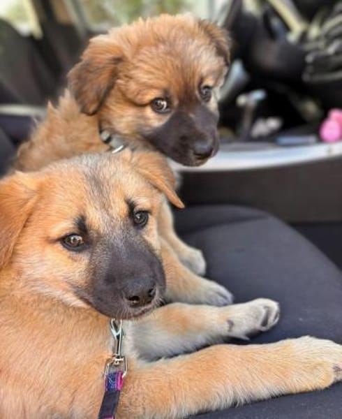 Nala - ist selbstbewusst