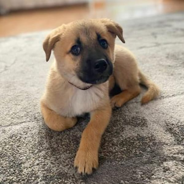 Nala - ist selbstbewusst