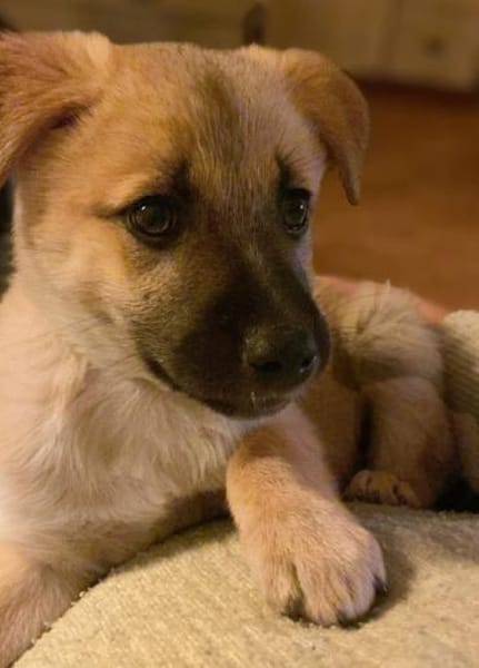 Nala - ist selbstbewusst