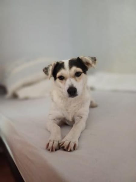 süße Roksy kaum 40 cm groß