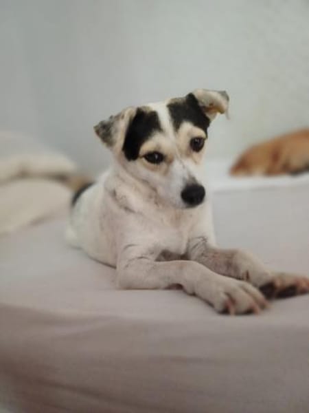 süße Roksy kaum 40 cm groß