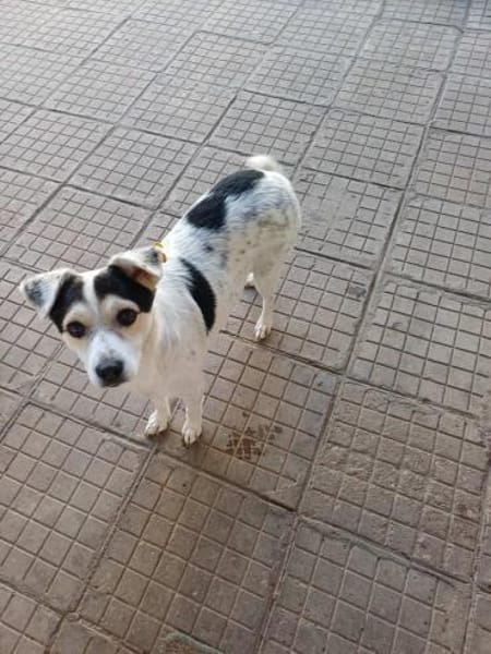 süße Roksy kaum 40 cm groß