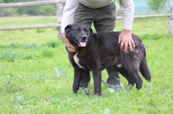Douce - ❤❤sehr verspielt u. kinderlieb