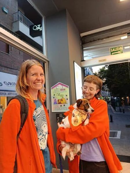 LILO, m., kastr., Mischling, ca. 40 cm