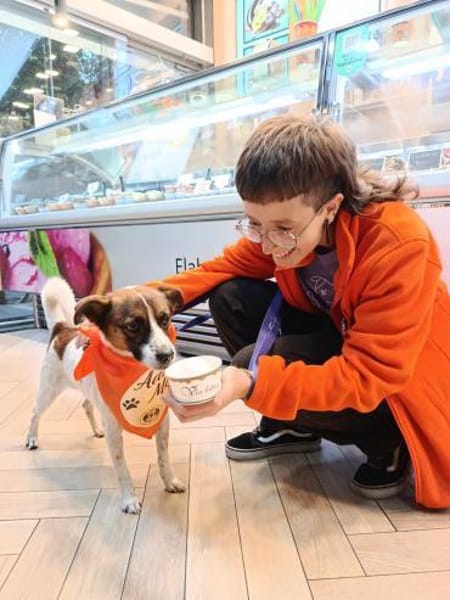 LILO, m., kastr., Mischling, ca. 40 cm