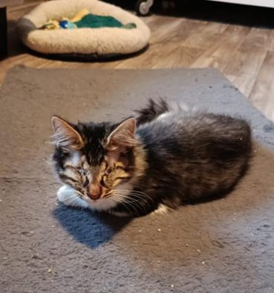 Antony + Sunbeam sehen mit dem Herzen