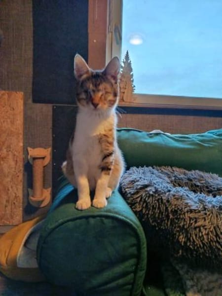 Antony + Sunbeam sehen mit dem Herzen