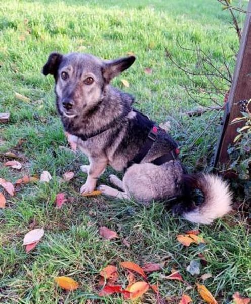 ADILE -freundlich & aufgeweckt-