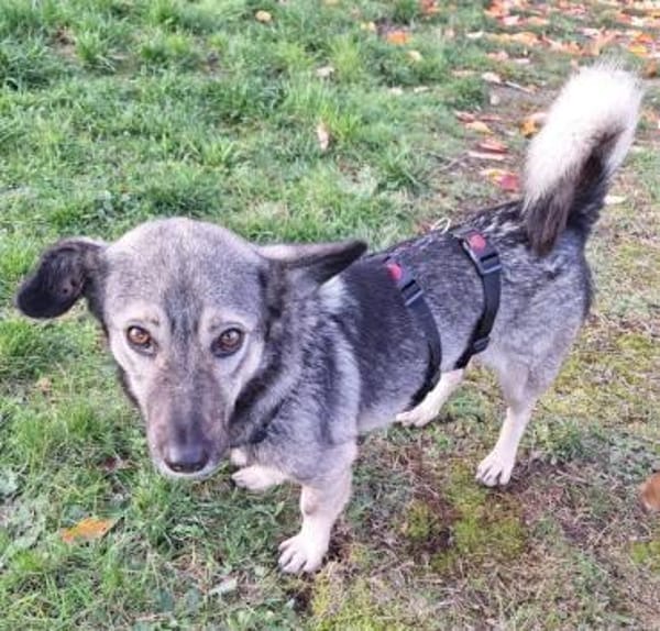 ADILE -freundlich & aufgeweckt-