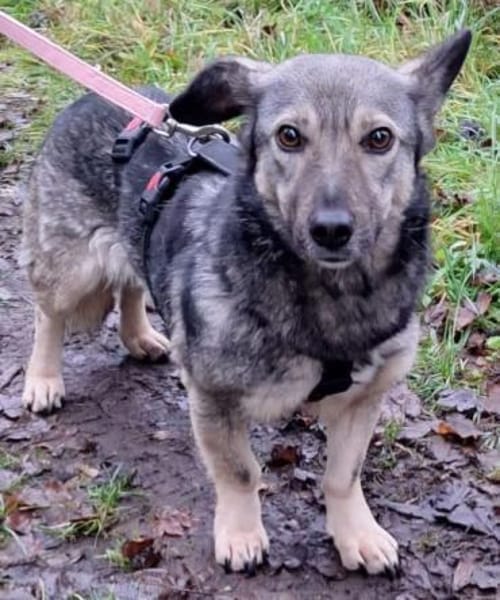 ADILE -freundlich & aufgeweckt-