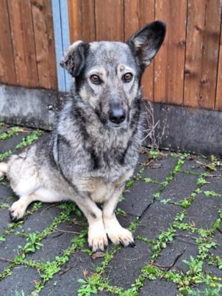 ADILE -freundlich & aufgeweckt-