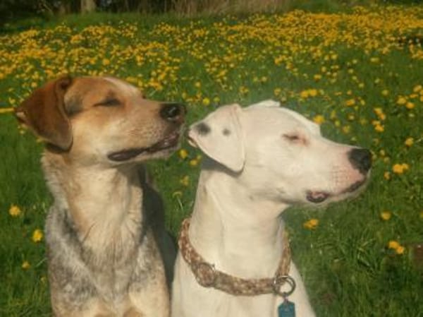 PAUL  -LOYALER RUHEPOL