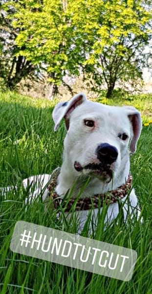 PAUL  -LOYALER RUHEPOL