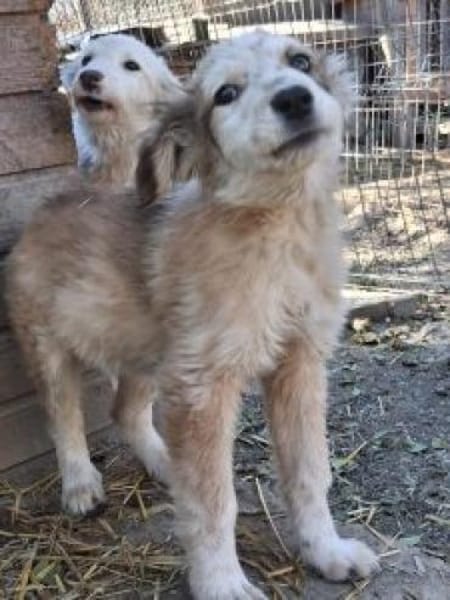 Moppi 34 cm (Okt 25) Pflegestelle