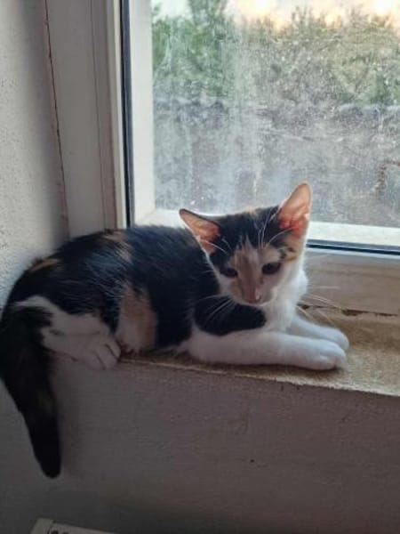 Dory, mit mir kommt Glück ins Haus