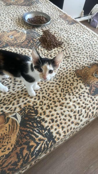 Dory, mit mir kommt Glück ins Haus