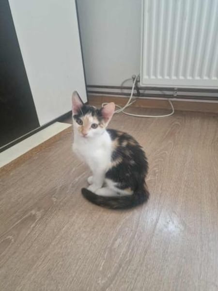 Dory, mit mir kommt Glück ins Haus