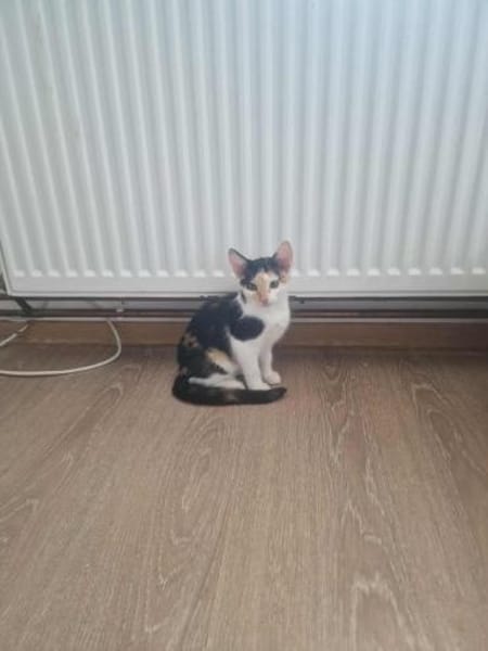 Dory, mit mir kommt Glück ins Haus