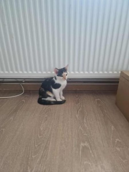 Dory, mit mir kommt Glück ins Haus