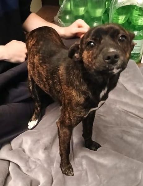 Nani3 sucht ein Zuhause