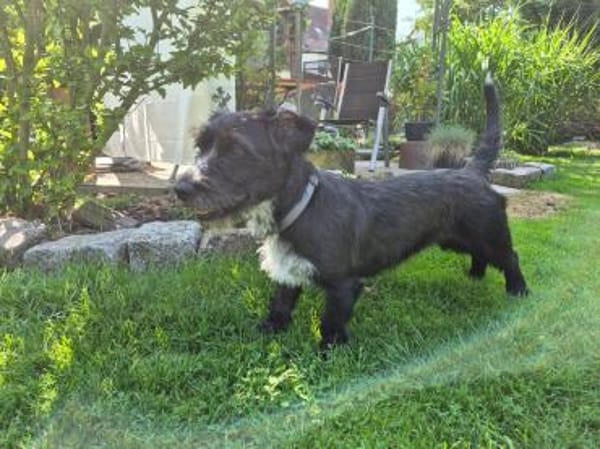 Nutella - süß wie Schokolade