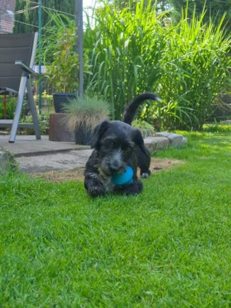 Nutella - süß wie Schokolade