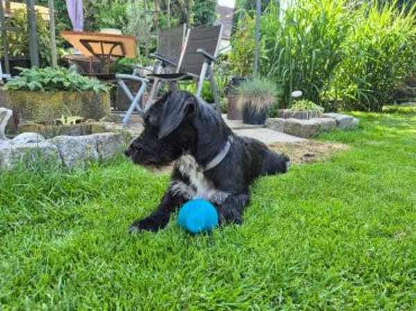 Nutella - süß wie Schokolade