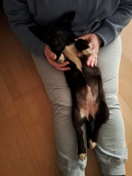 Corry wartet in Obertrubach!