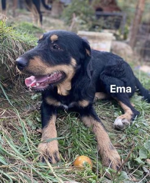 Emma - toller Charakter