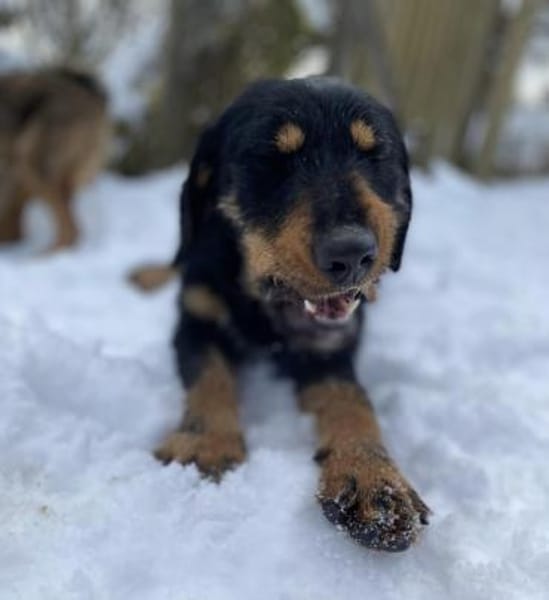 Emma - toller Charakter