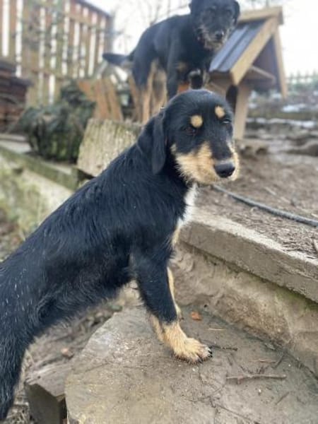 Emma - toller Charakter