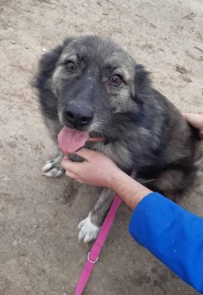 Ritch 🐾❤möchte sich mal wieder melden