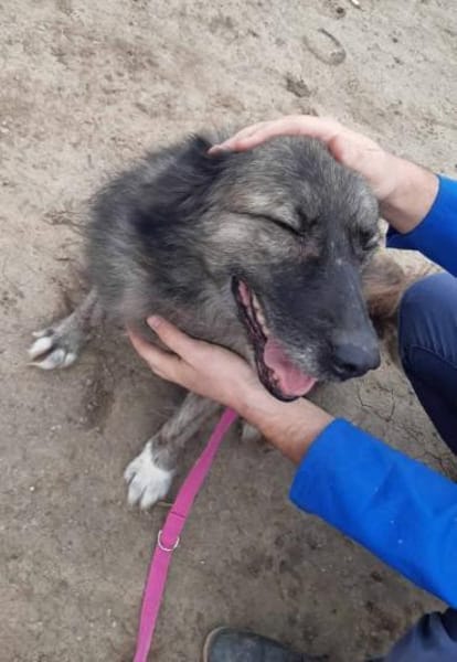 Ritch 🐾❤möchte sich mal wieder melden