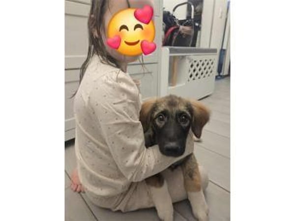 Dorle - wartet in 76287 Rheinstetten