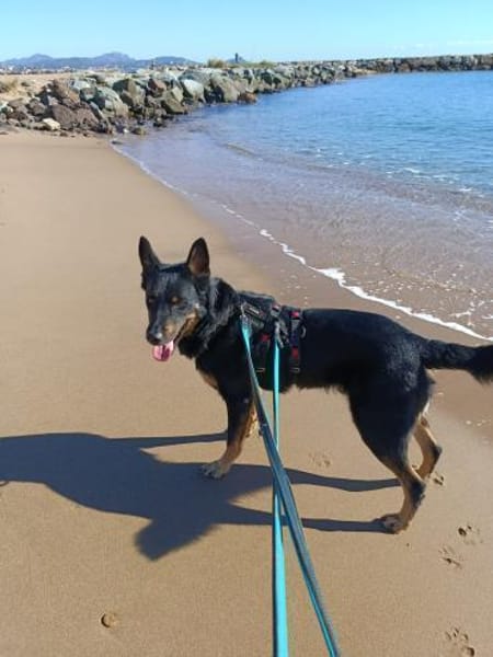 Jafar sportlich mit großem ❤ sucht