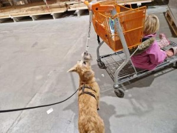 Pia 3 -neugierig und aufgeweckt-